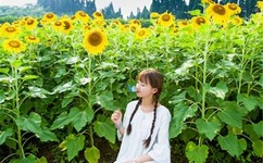 快播电影 艺术片